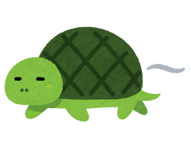 亀
